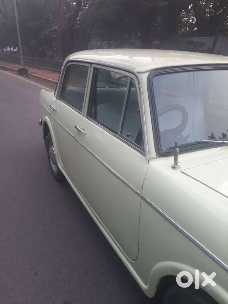 Fiey Premier Padamini