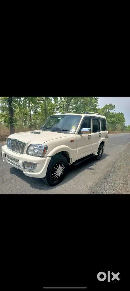 Scorpion New Condition