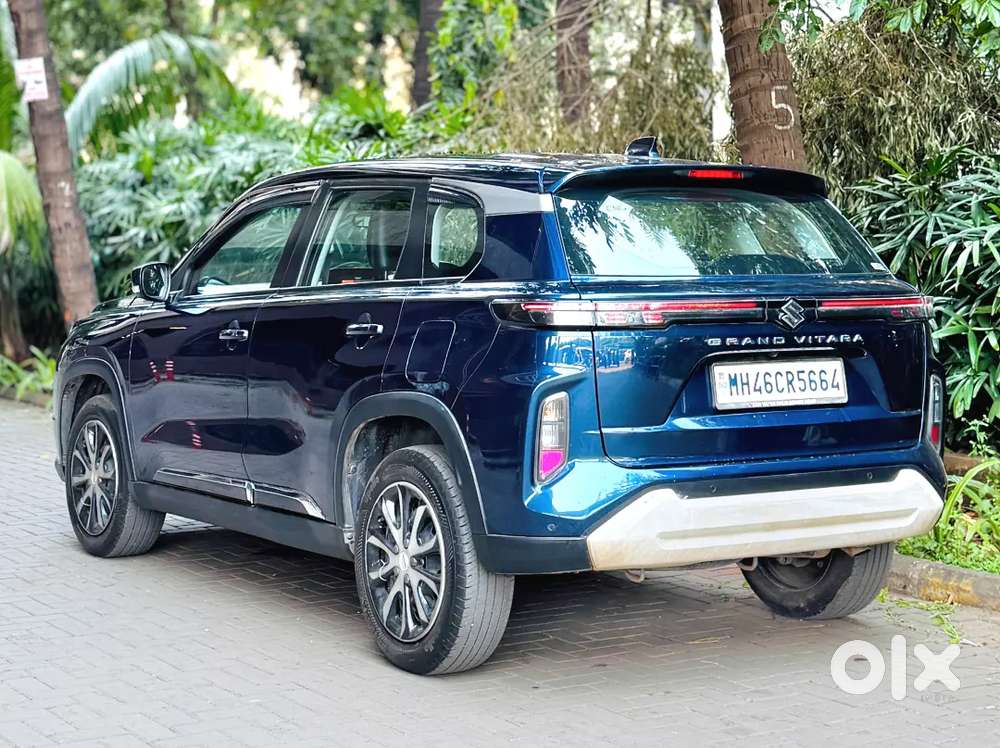 Grand Vitara Delta Cng 2024