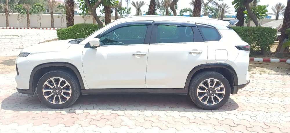 Maruti Suzuki Grand Vitara 2023 Petrol 40301 Km Driven