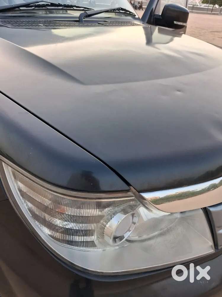 Safari Storme