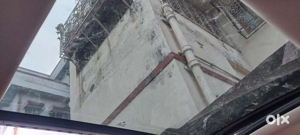 Mg Hector 2024 Petrol Good Condition