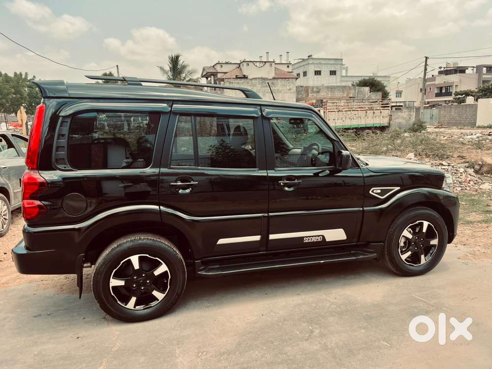 Only 2 Month Old Scorpio Classic