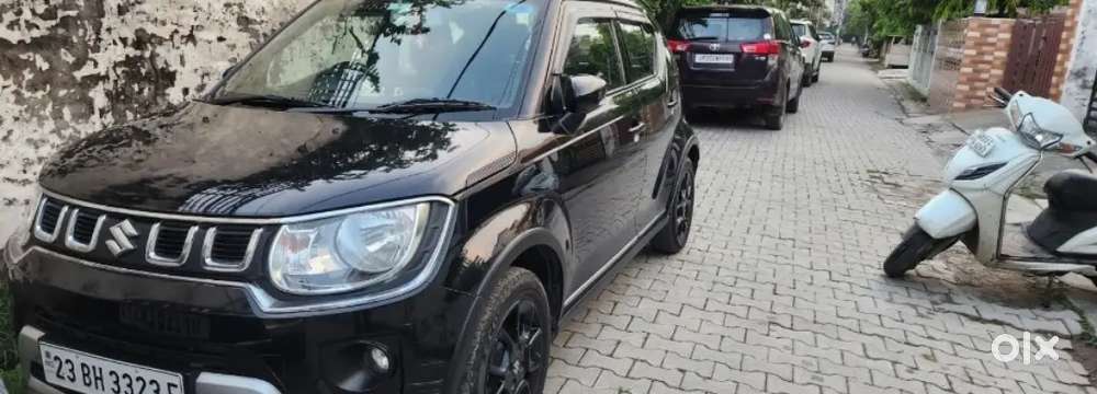 Maruti Suzuki Ignis 2023 Model