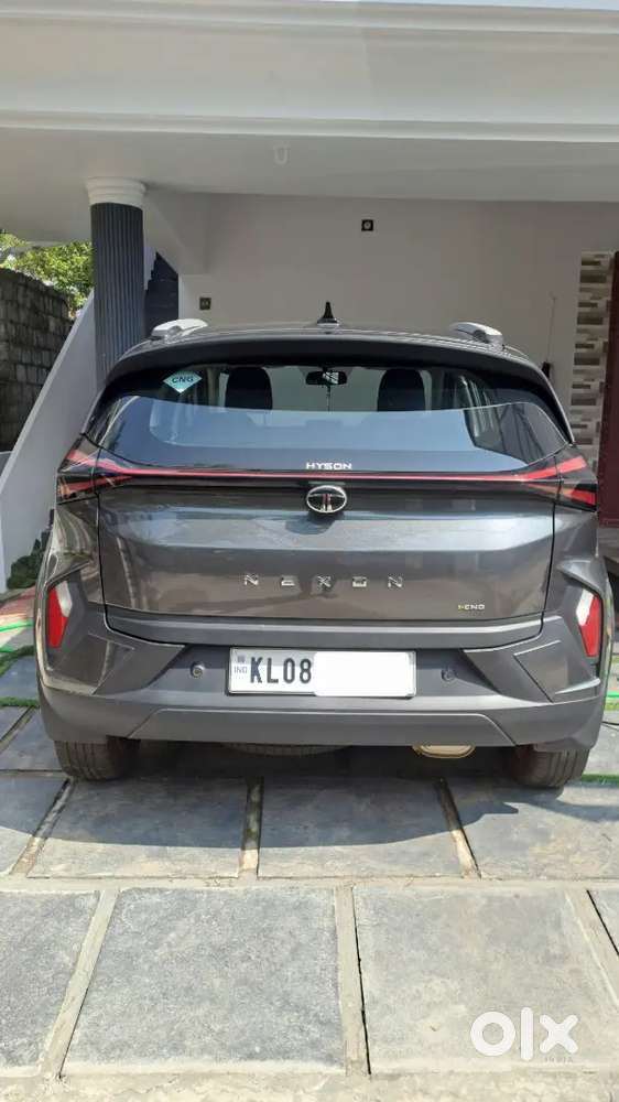 Tata Nexon 2024(december Last) Variant