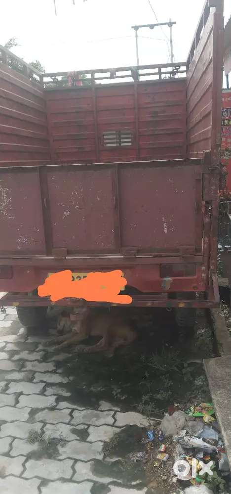Mahindra Maxx Diesel 2013 2wd