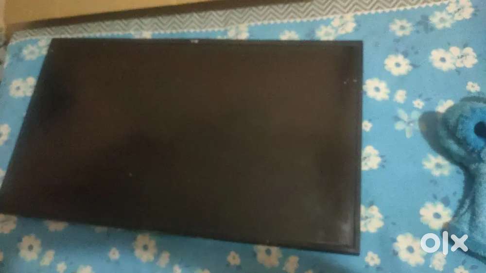 Lg 43 inch