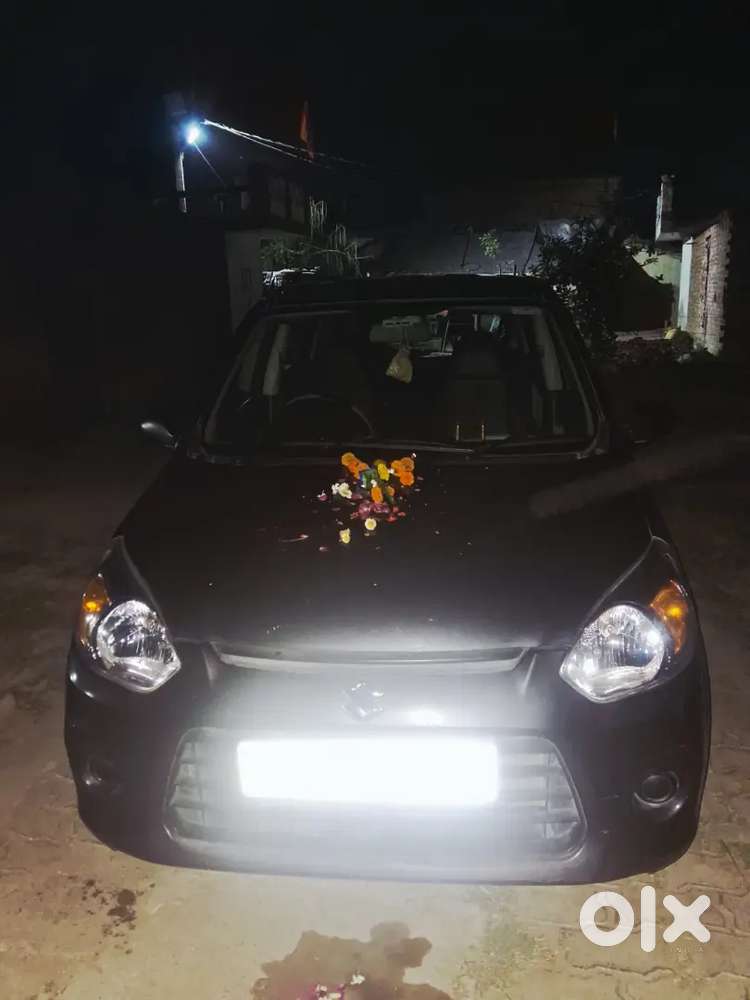 Maruti Suzuki Alto 800 2016 Petrol 19000 Km Driven Very Good Condition