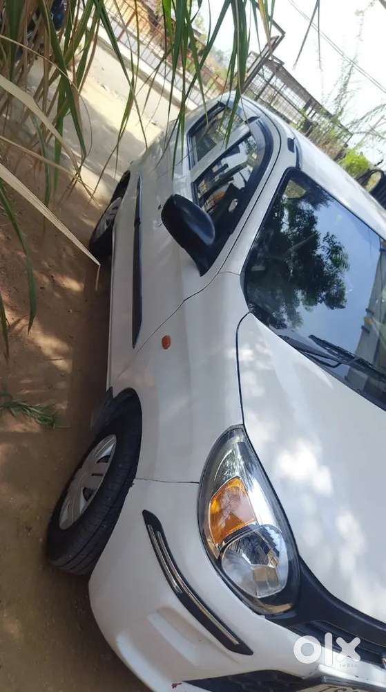 Maruti Suzuki Alto 800 2019 Petrol Well Maintained