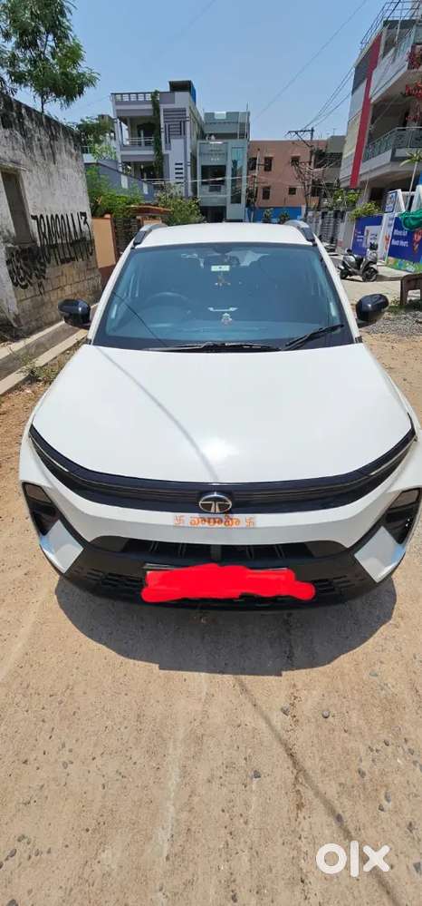 Excellent Condition Shroom Track