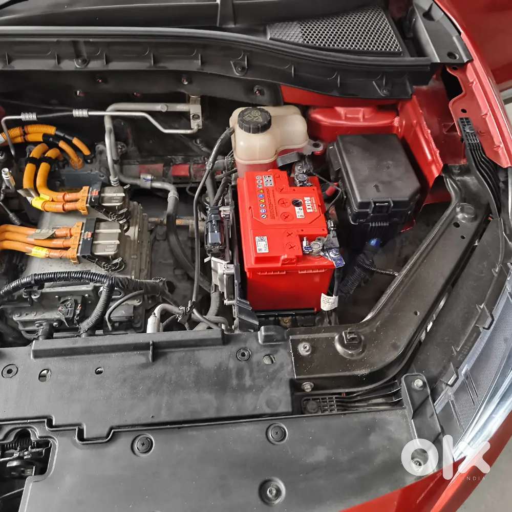 Mg Zs Ev Exclusive