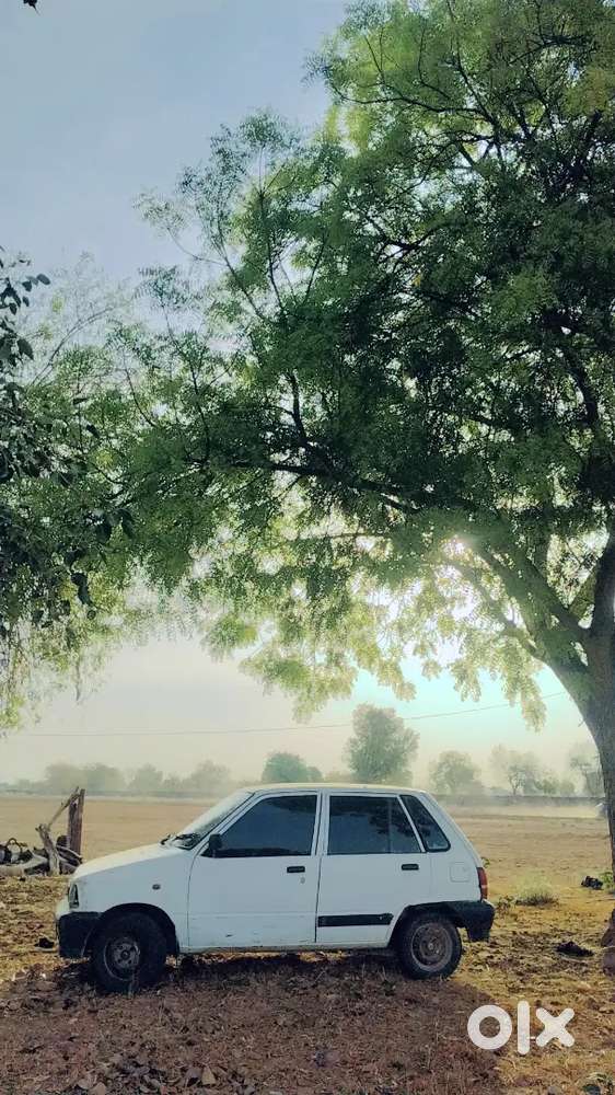 Maruti Suzuki 800 2005 Lpg 36000 Km Driven