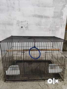 Cage for best sale dogs olx