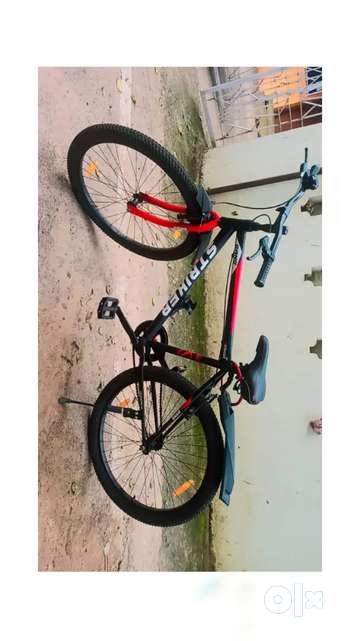 Striker Cycle Bicycles 1759288080