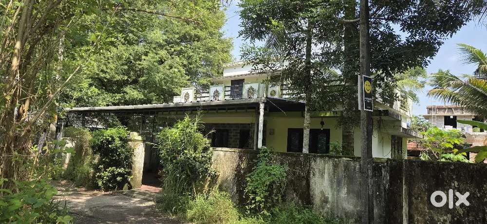 House near Cherthala പുത്തലമ്പലം മെയിൻ റോഡിൽ നിന്നും200 mtr 3 BHK
