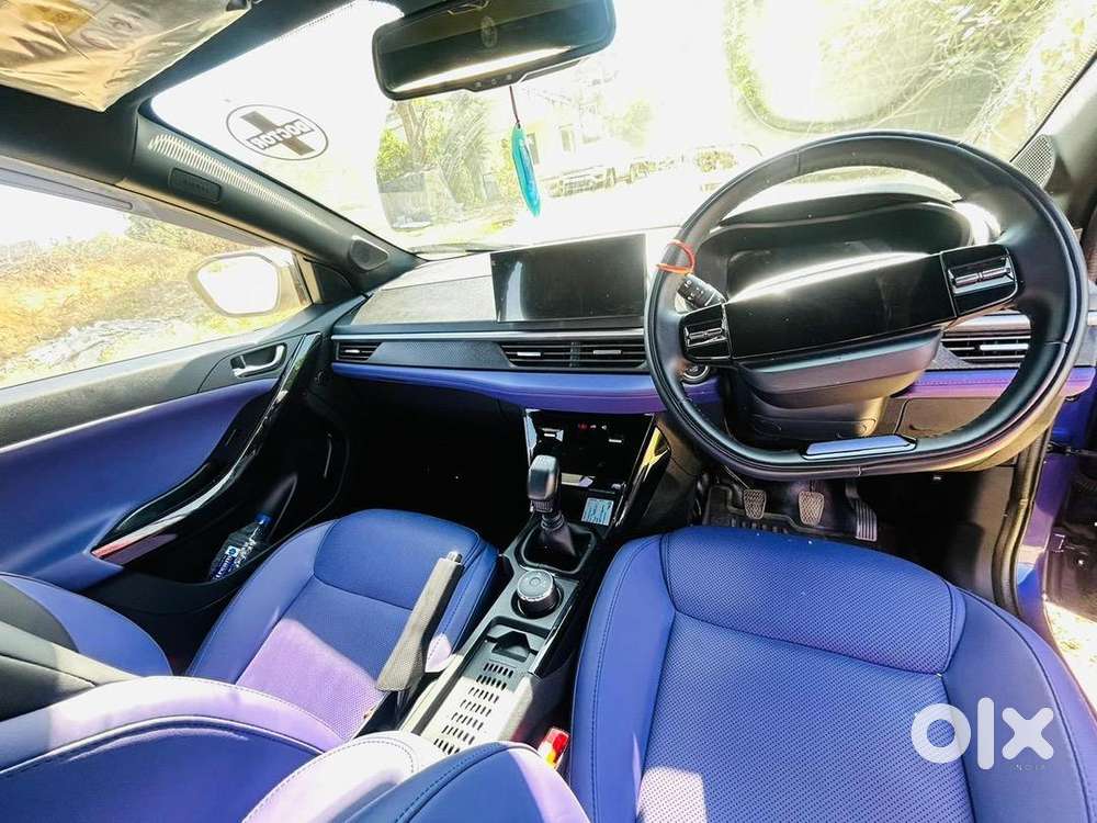 Tata Nexon 2024 Petrol Well Maintained