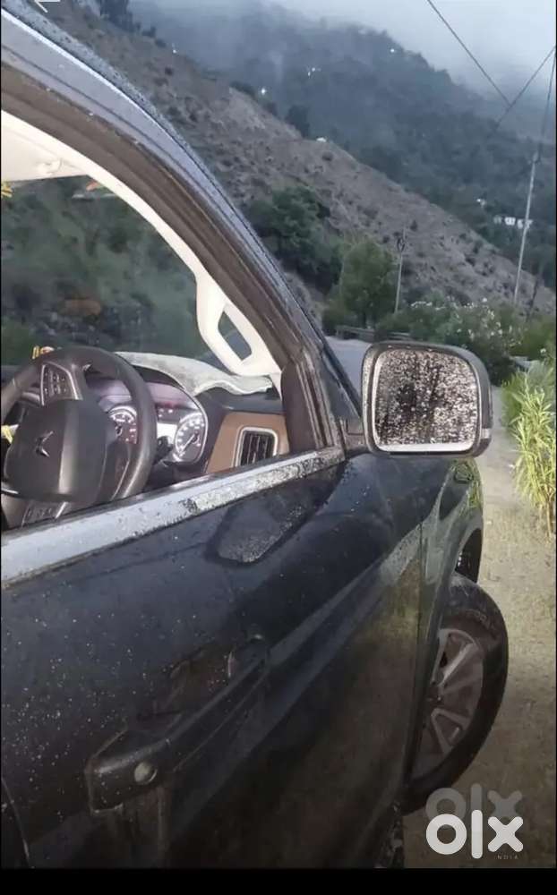 The Black Beast