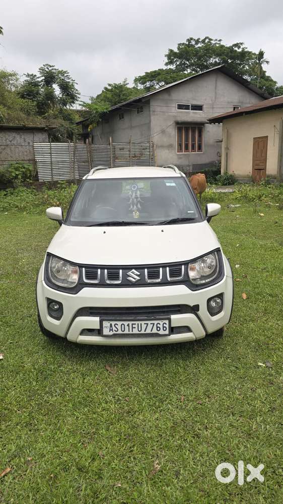 Maruti Suzuki Ignis 1.2 Delta Mt, 2024, Petrol