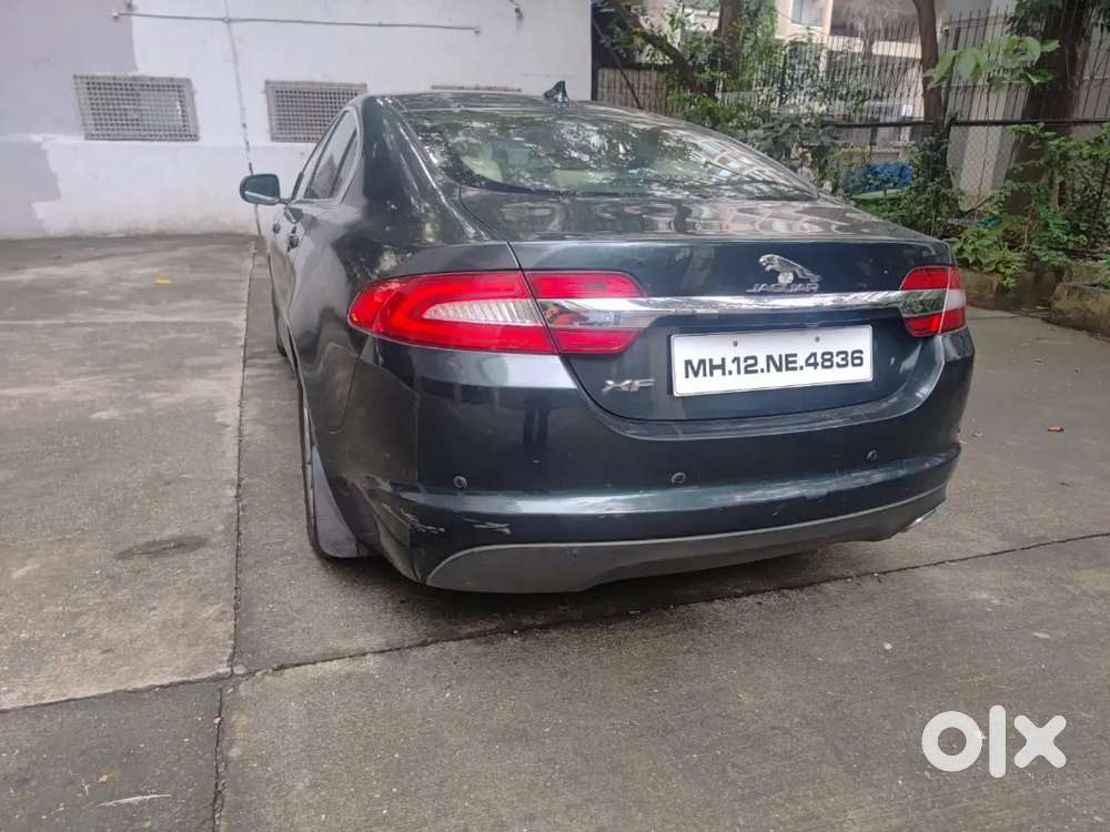 Jaguar King Of The Street