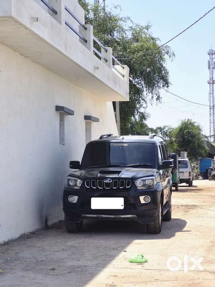 Scorpion S11 2020vip Number 5151 Top Model