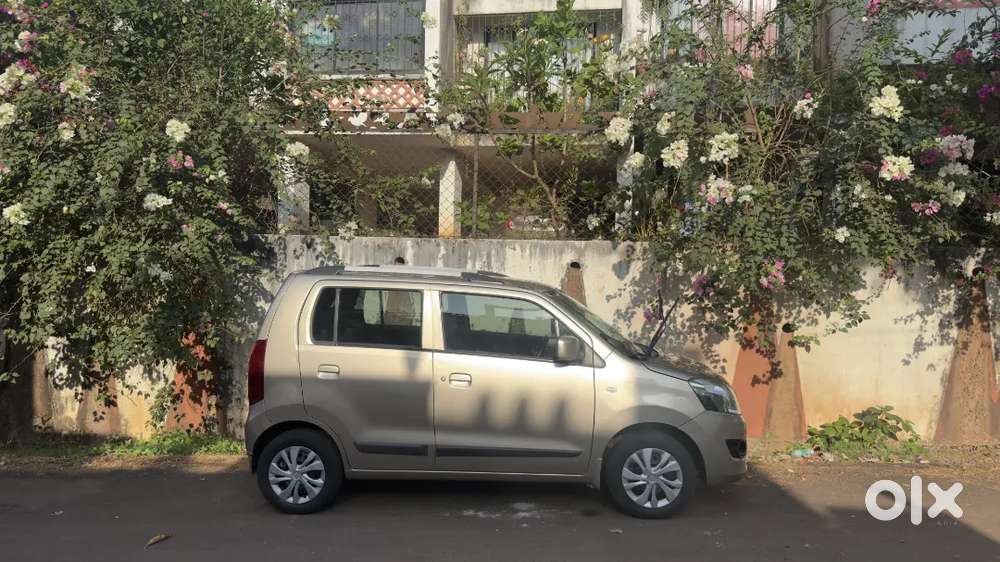 Maruti Suzuki Wagon R 1.0 2013