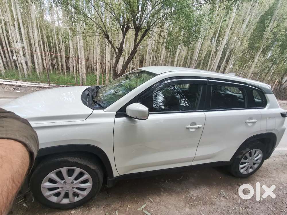 Maruti Suzuki Grand Vitara 2024 Petrol 9849 Km Driven
