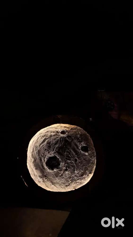 Aesthetic moon antique decorative item