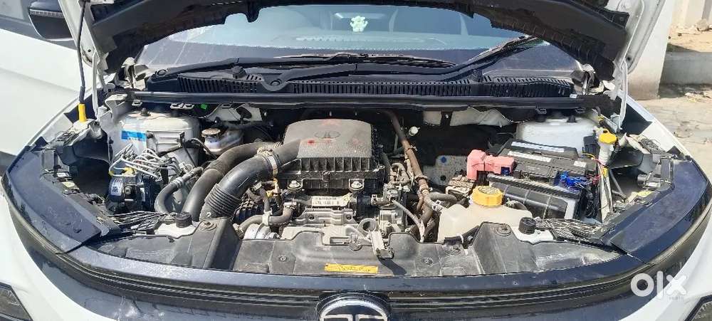 Tata Nexon 2025 Petrol 6500 Km Driven