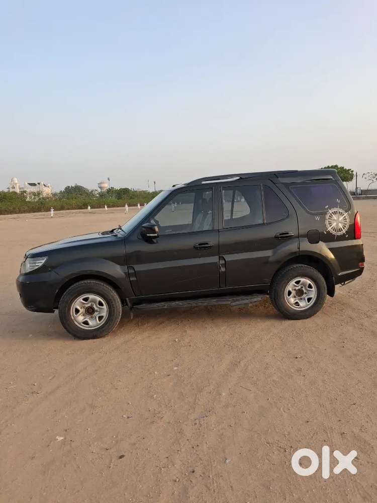 Safari Storme