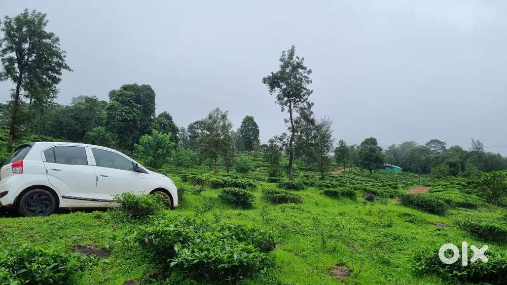 Hyundai Santro 2019 Petrol Well Maintained