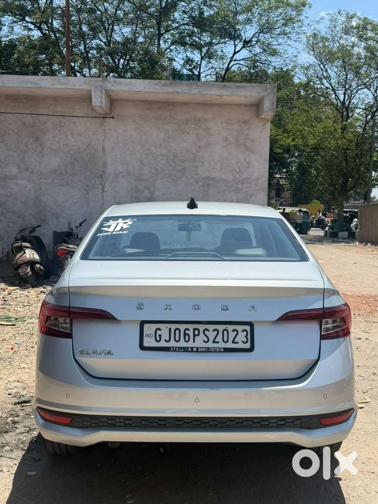 Skoda Car Manual 2024