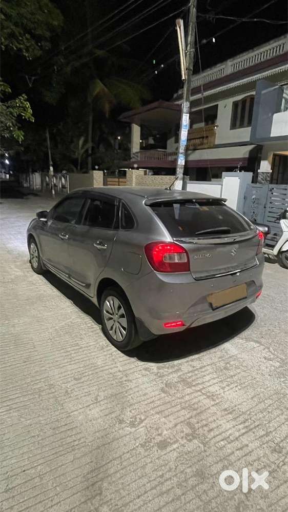 Excellent Body Condition