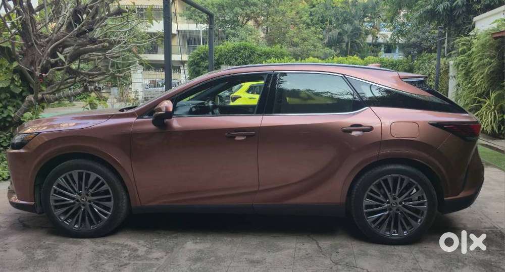 Lexus Rx 350h Panasonic, 2023, Petrol