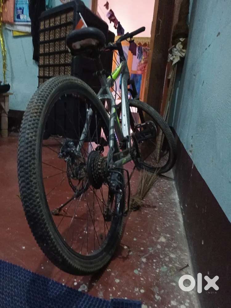 One month old Bicycles 1819306613