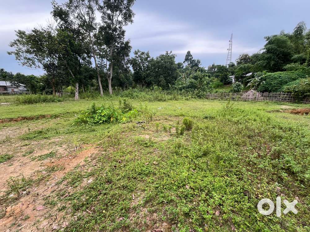 5 Gonda Plot