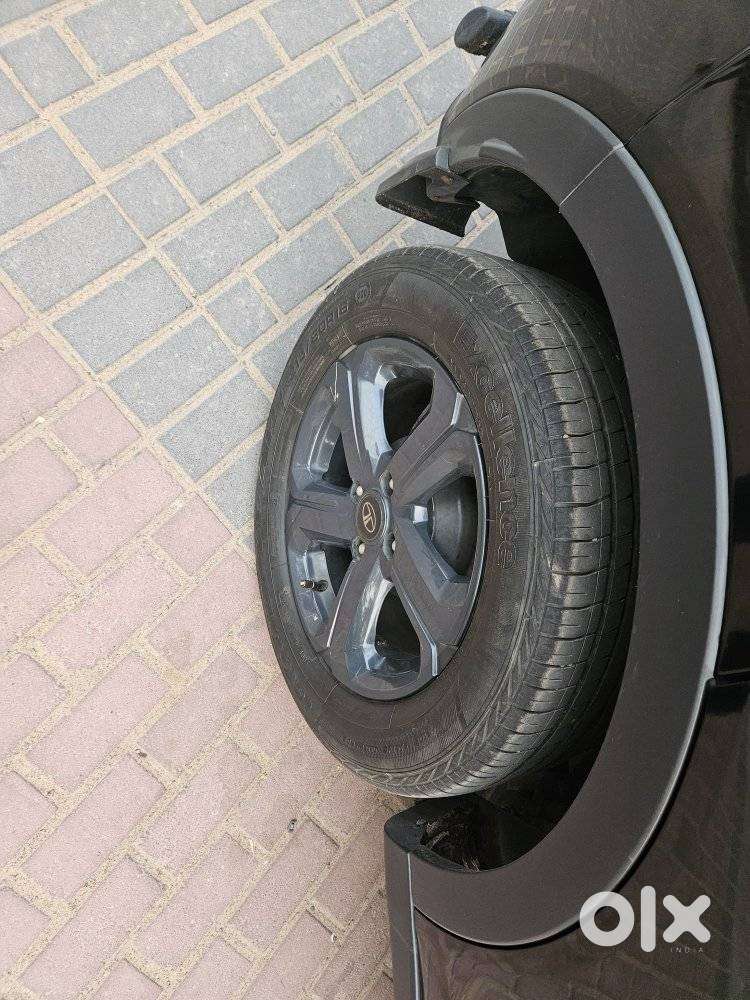 Tata Nexon 1.5 Revotorq Xza Plus Kaziranga, 2023, Petrol