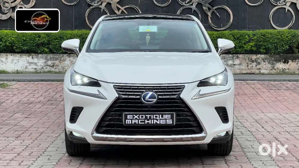Lexus Nx, 2020, Petrol