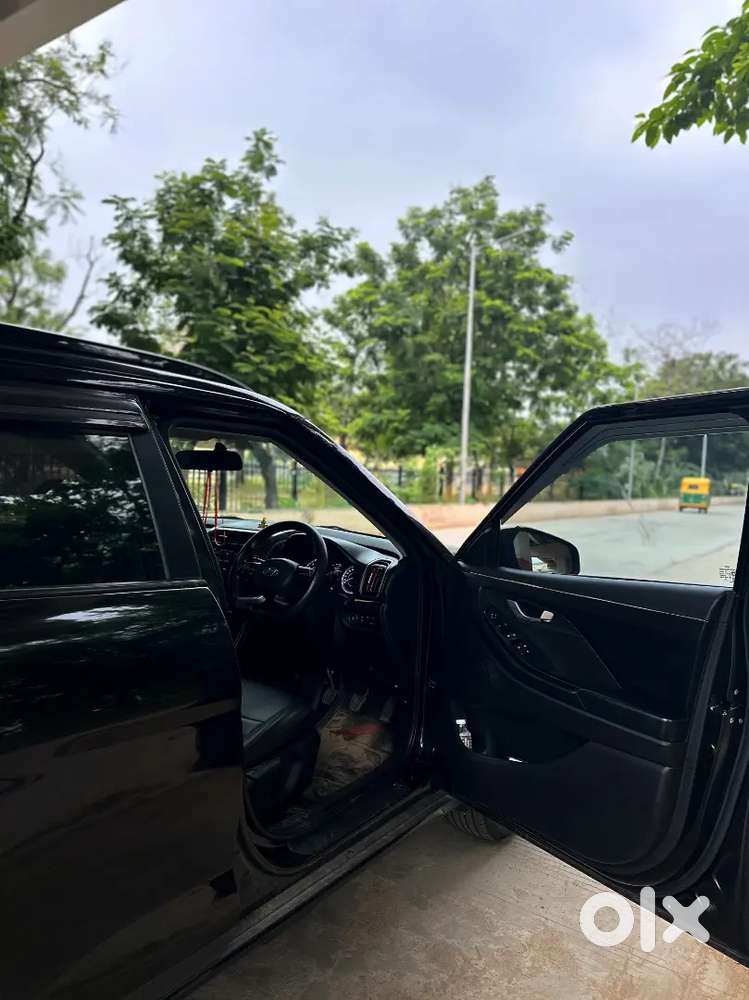 Knight Edition 2023 Pure Petrol