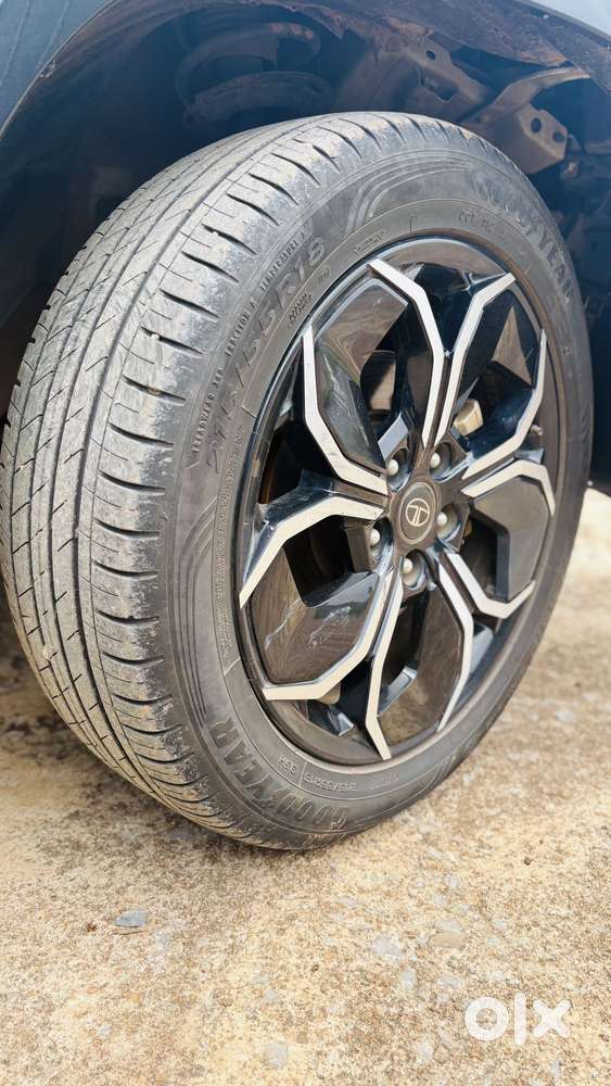 Tata Curvv Creative Plus S 1.5 Kryojet Diesel 6mt, 2025, Diesel