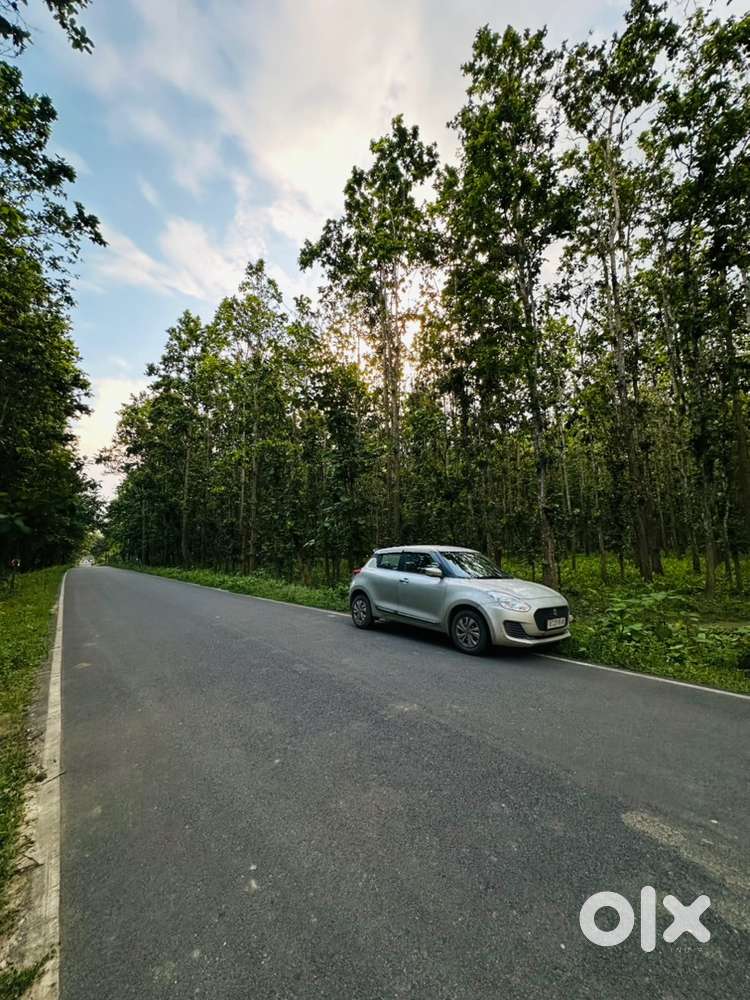 Maruti Suzuki Swift Petrol Manual 2020