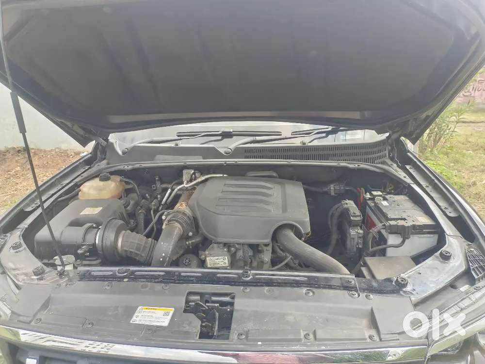 Scorpio N2023,2024regestation