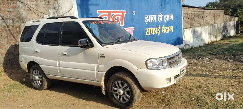 Vip Nomber. Panta 5 ( Mp 05 Mg 5555)