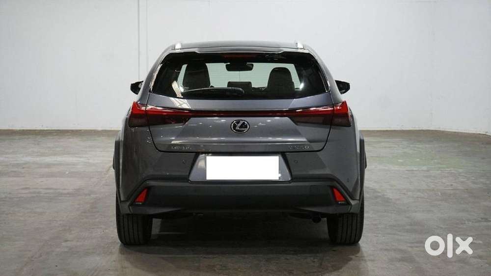 2020 Lexus Ux