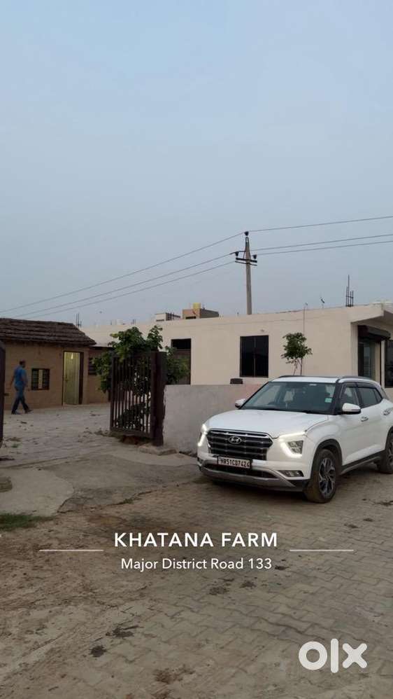 Top Model With Automatic