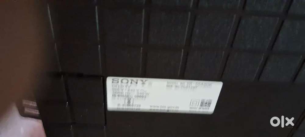 55 OLED TV ( Screen damaged)