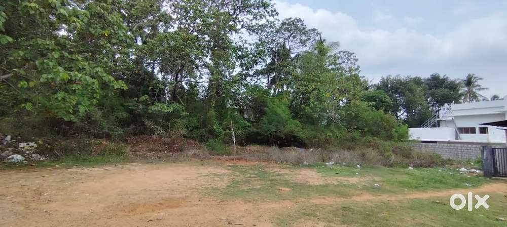 Thrissur kuriachira near chiyyaram to kurukkanchery main road 5 cent p