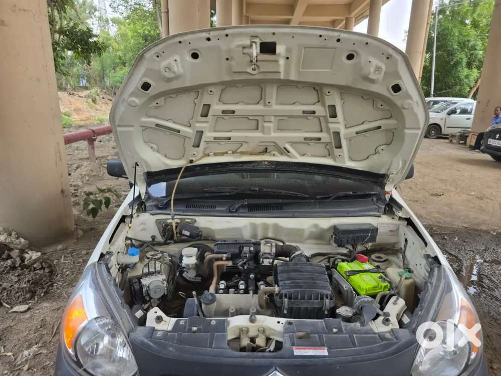 2019 Maruti Suzuki Alto