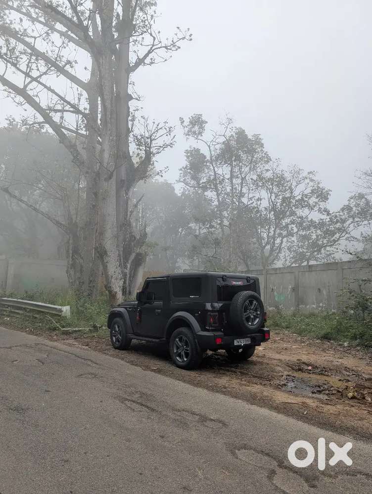 Mahindra Thar 2024 Diesel 29000 Km Driven