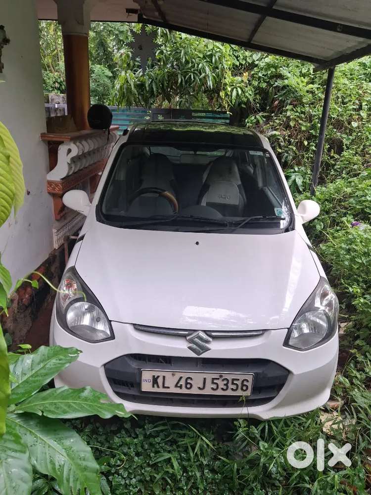 Maruti Suzuki Alto 800 Company Service