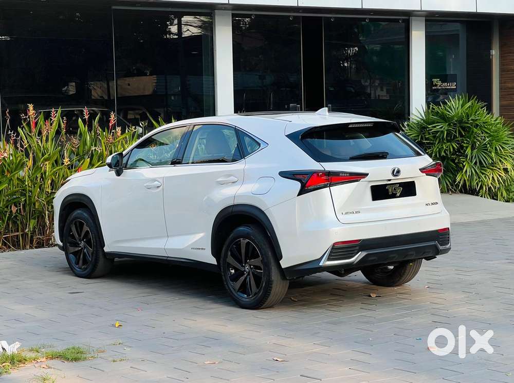Lexus Nx Lexus-nx-300h-luxury, 2020, Petrol